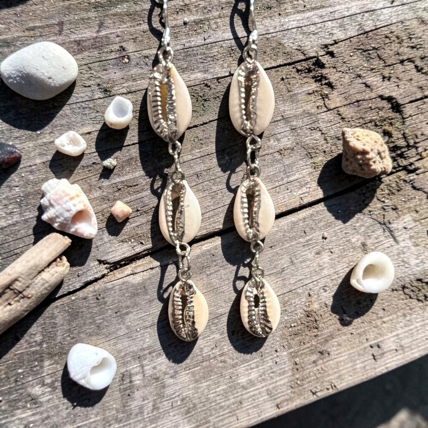 Silver Cowrie Shell Dangle Earrings